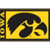 Iowa Hawkeyes Flag 3×5