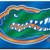 Florida Gators License Plate Laser Cut Blue